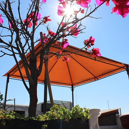 Hotel Oaxaca Magico المظهر الخارجي الصورة